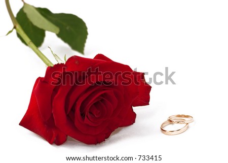 stock photo red rose and wedding rings wedding invitation card 