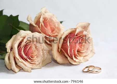 wedding bands an roses (wedding postcard)