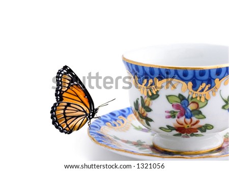 butterfly teacup