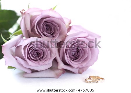 stock photo Purple roses and wedding rings