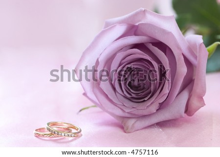 stock photo Purple rose and wedding rings on pink background
