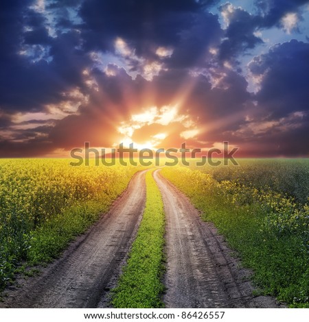 country road and sunset