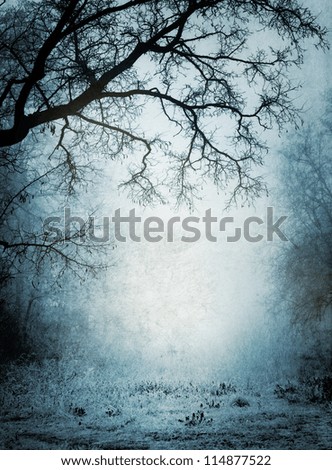Grunge park with dry trees Grunge park with dry trees