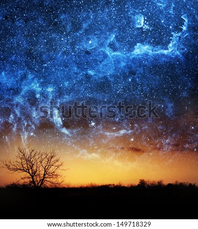A Single Tree With Beautiful Space Background