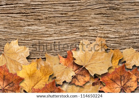 Autumn background. Dry leaves on the old rotten board