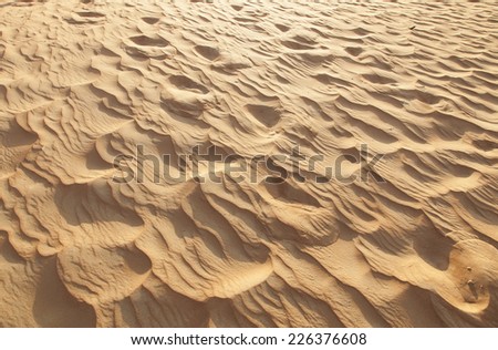 desert on United emirate desert safari
