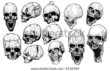 Skulls Vector Set - 6536584 : Shutterstock