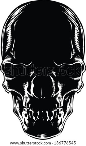 Vector Skull artwork Vector Skull artwork