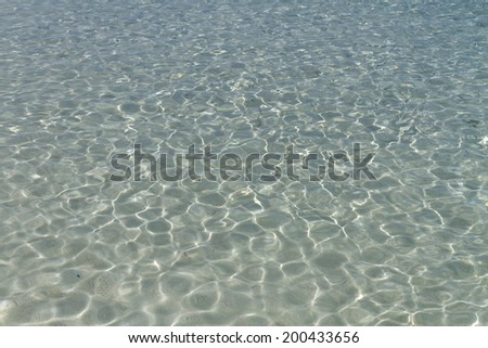 Seashore, sandy bottom, transparent water, Sunny day.