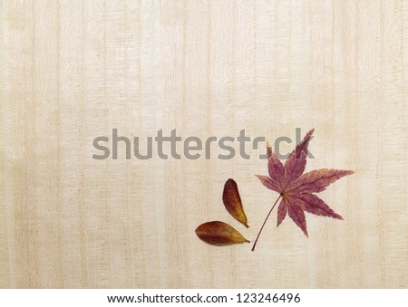Maple leaf of the Woody background