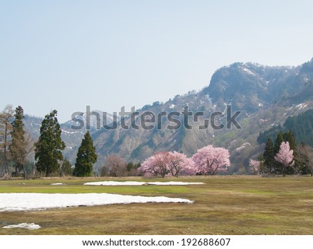 Quiet Japanese spring scenery