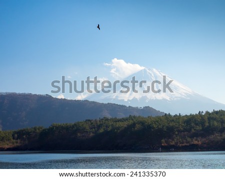 Mt Fuji seen from West Lake