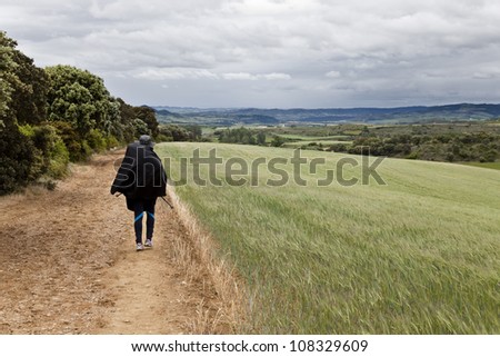 Woman walking through fields of wheat at north Spain
