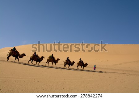 Camel caravan going through the sand dunes in the Gobi Desert, China