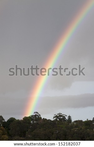 Multicoloured rainbow after the storm