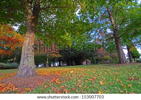 Multi color autumn fall scene