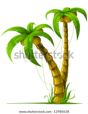 palm trees pictures. vector tropical palm trees