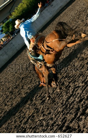 a rider on a wild adrenaline rush, riding a bucking horse at a rodeo
