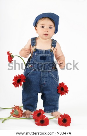 Flower Girl - Standing nine mth old baby girl wearing a bib n brace denim overalls.  Red gerbera daisies scattered about