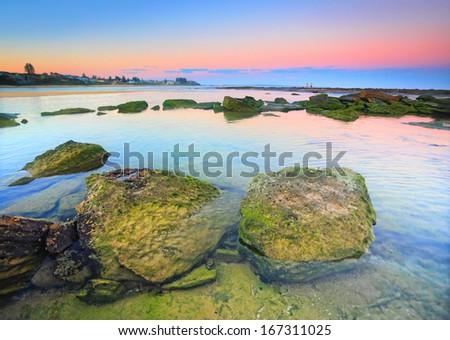 Moss covered rocks on the rocky reef shelf at the end of Toowoon Bay, Australia at sundown, after sunset.