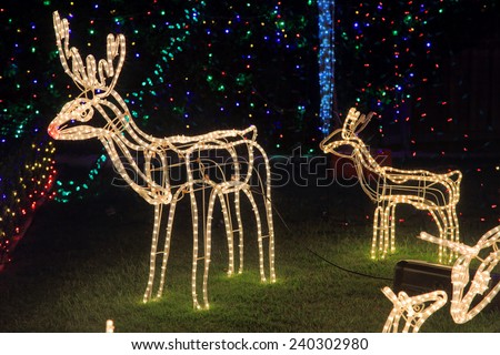 BEAUMONT HILLS, AUSTRALIA; DECEMBER 24, 2014; Brightly lit  by led tube lights reindeer in garden - Christmas decorations with background coloured party led lights.