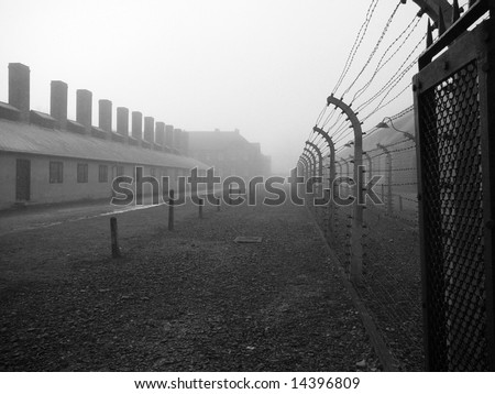 auschwitz concentration camp gas. concentration camp