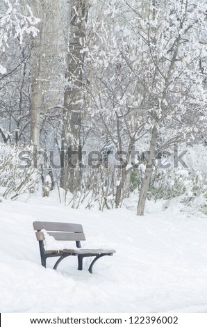 A lonely bench in a forest during winter