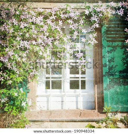 Shabby Chic Background with window and flowers