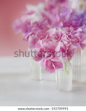 Shabby Chic Background with purple and pink flowers