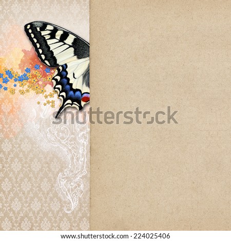 Vintage shabby chic background with butterfly
