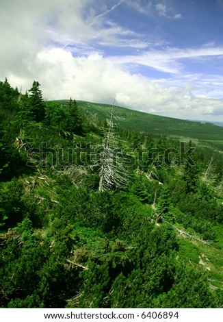 Mountain landscape with withered tree in the middle.