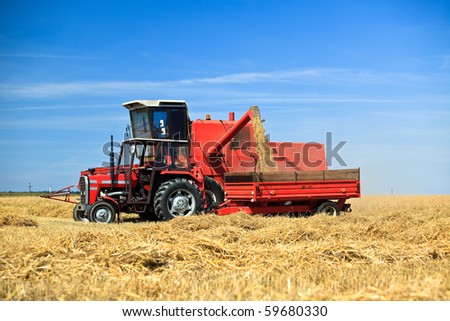 Tractor and combine harvesting wheat