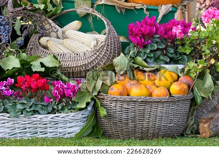 Fruit and Flower Arrangement in a Garden