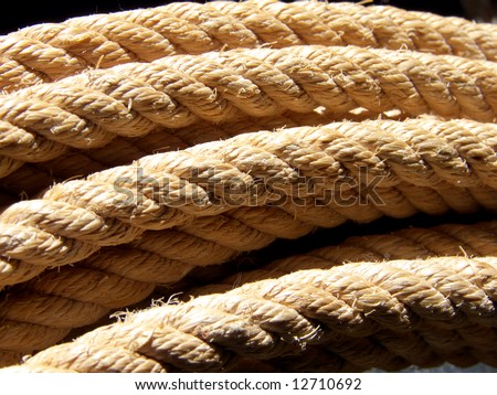 Ancient rope made using Sisal hemp or Agave fiber