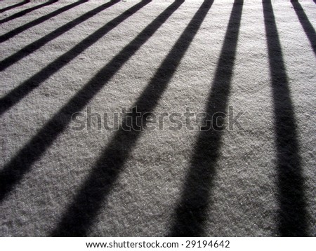 Parallel shadows forming a pattern of black and white across an expanse of fresh morning snow