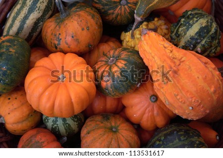 Basket full of multiple not carved Halloween pumpkins ready for Halloween scary pumpkin carving\
Similar images here:\
www.shutterstock.com/sets/324863-food.html