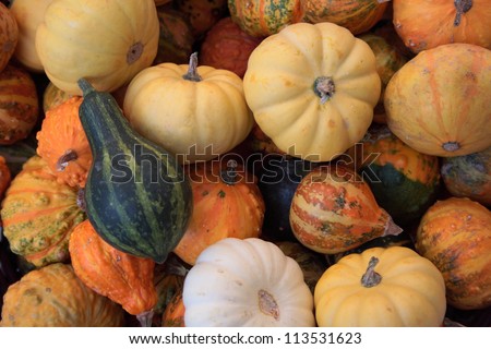 Basket full of many not carved Halloween pumpkins ready for Halloween scary pumpkin carving
