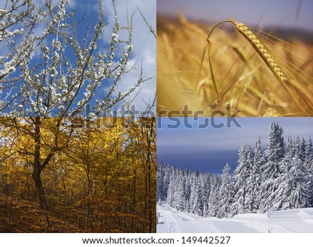 The  four seasons