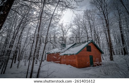Maple syrup sugar shack in the woods.