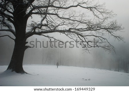 winter landscape, tree, solitude, man