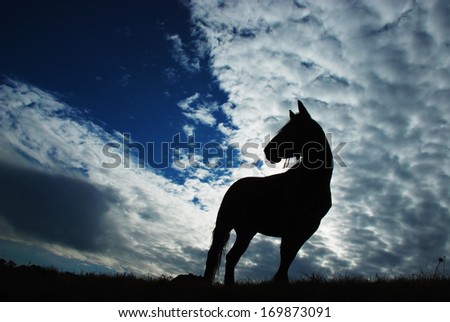 horse silhouette, blue sky