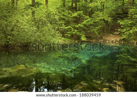 Clear water and beautiful water source in forest,Ochiul Bei,Beusnita National Park,Romania