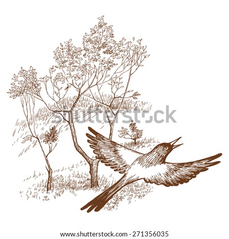 Flying magpies.Vector illustration.Bird flying against the tree.