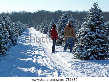 A couple picking out their Christmas tree