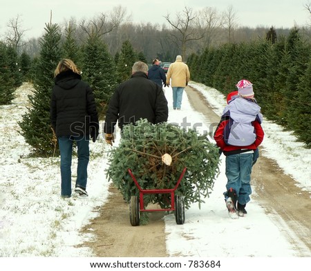Family hauling their freshly cut Christmas tree