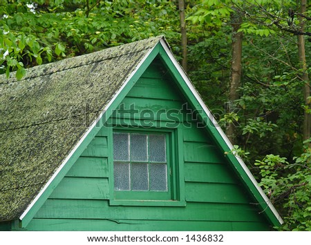 top of a green cabin in the woods