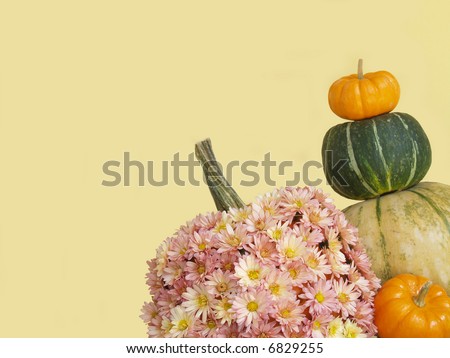 fall - assorted squashes and a pumpkin covered with mums