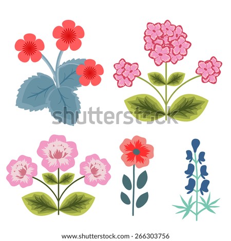 Decorative vector flowers summer collection