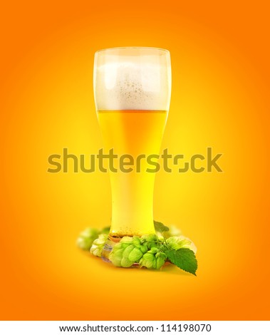 beer and hop in glass of light on orange yellow abstract background