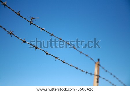 A dragonfly perched on a barbed wire fence.